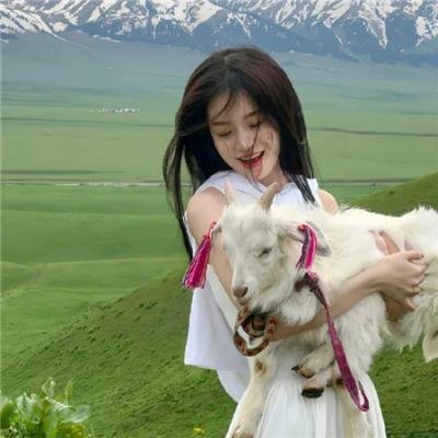 八戒:决战未来